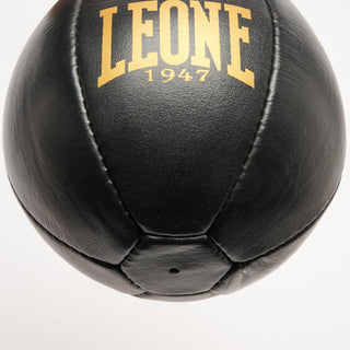 Boxbirne Leone DNA AT805 Schwarz-Gold