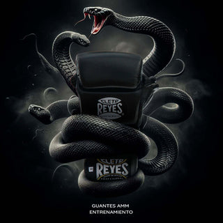 MMA-Handschuhe Cleto Reyes Black Mamba Training