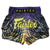 Kick-Thai Shorts Fairtex BS1941 Dawn