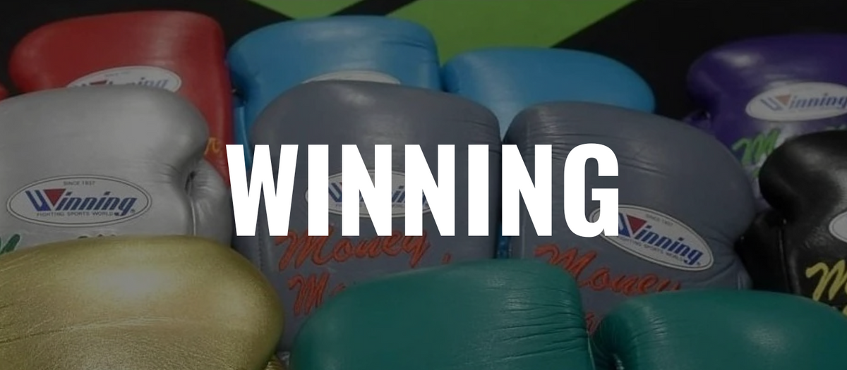 Winning Box Winning Boxhandschuhe: Qualität und Leistung Made in Japan – Combat Arena