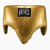 Tiefschutz Boxen Cleto Reyes Extra Schutz Gold-Combat Arena