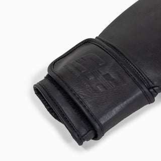 Boxhandschuhe Combat Arena Erbe 2.0 
