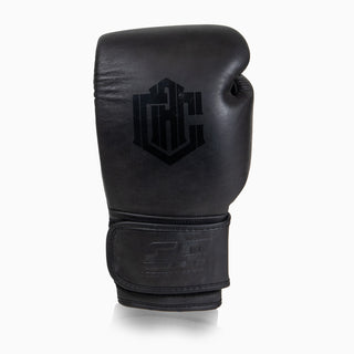 Boxhandschuhe Combat Arena Erbe 2.0 