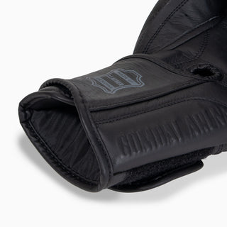 Boxhandschuhe Combat Arena Erbe 2.0 