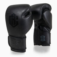 Arena Heritage 2.0 Combat Boxhandschuhe