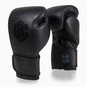 Arena Heritage 2.0 Combat Boxhandschuhe