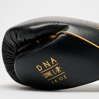 Boxhandschuhe Leone DNA Premium GN002 Schwarz 