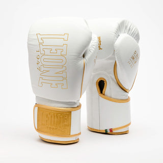 Boxhandschuhe Leone DNA Premium GN002 Weiß 