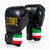 Boxhandschuhe Leone Italien GN039 