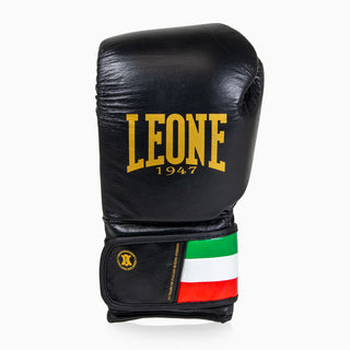 Boxhandschuhe Leone Italien GN039 