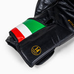 Boxhandschuhe Leone Italien GN039 