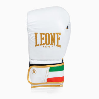 handschuhe italienisch Boxhandschuhe Leone Italien GN039 – Combat Arena