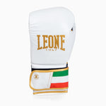 Boxhandschuhe Leone Italien GN039 