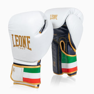 italien handschuhe Boxhandschuhe Leone Italien GN039 – Combat Arena
