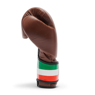 Boxhandschuhe Leone Italien GN039 