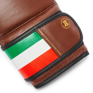 Boxhandschuhe Leone Italien GN039 