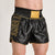Shorts kick-thai Leone DNA Premium AB969 Schwarz-Combat Arena