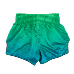 Shorts kick-thai Fairtex BS1953 Quantum 