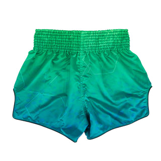 Shorts kick-thai Fairtex BS1953 Quantum 