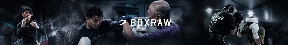 Boxraw – Combat Arena