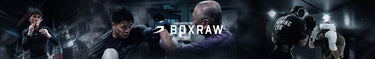 Boxraw – Combat Arena