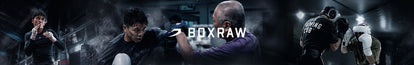 Boxraw – Combat Arena