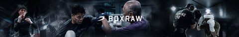 Boxraw – Combat Arena