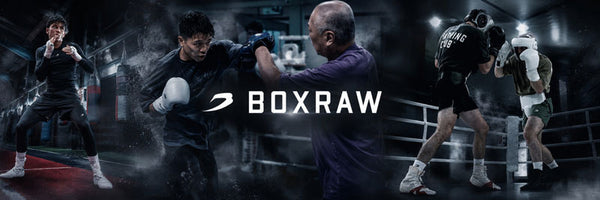 Boxraw – Combat Arena