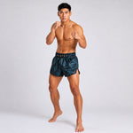 Kick-Thai Shorts Fairtex BS1902 Stealth #2