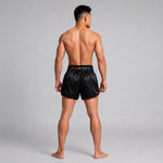 Kick-Thai Shorts Fairtex BS1912 Kabuki