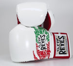 Boxing gloves Cleto Reyes Safetec CB4 Mexican with Laces